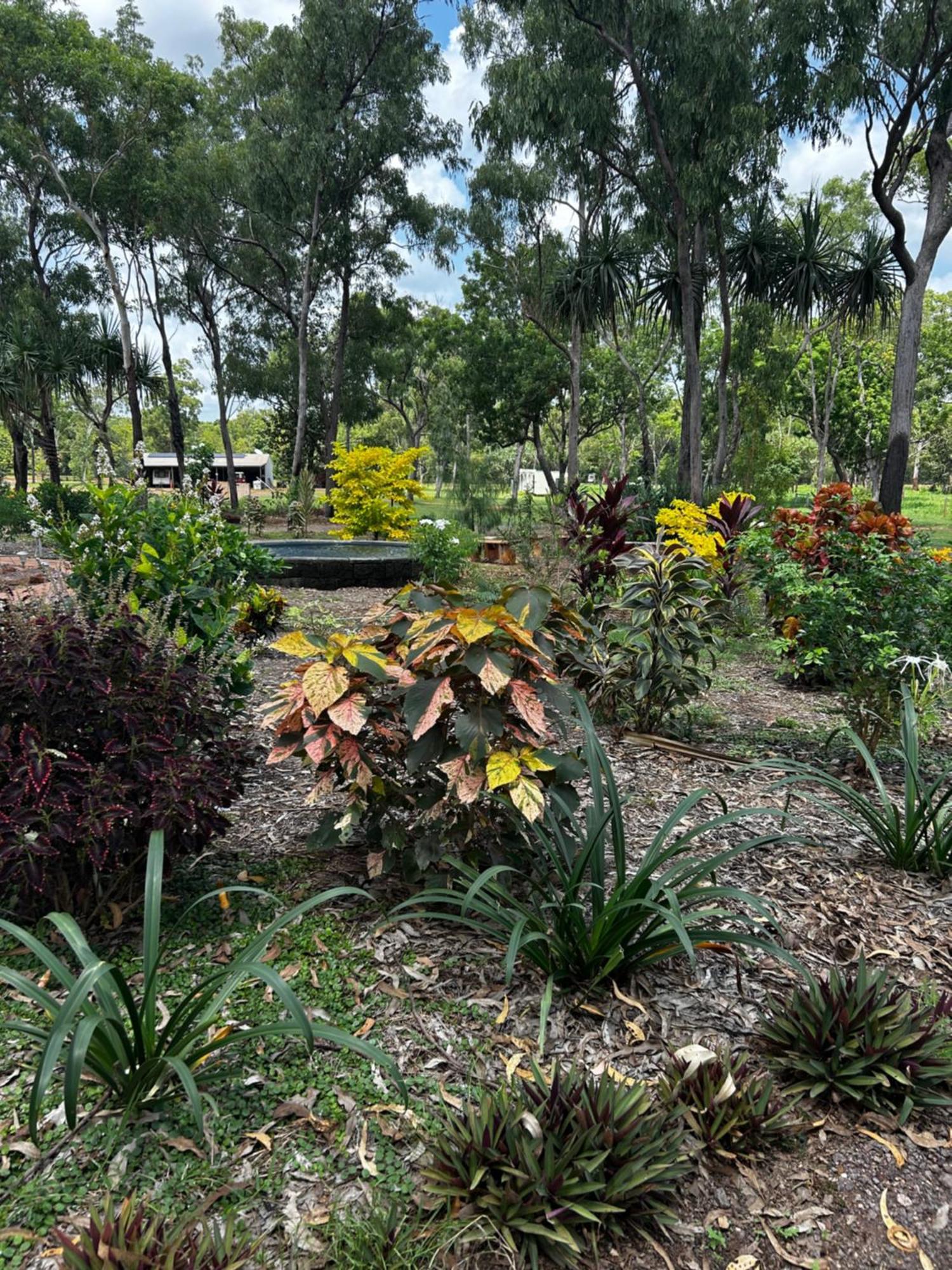 Litchfield Tropical Stay Batchelor Eksteriør billede