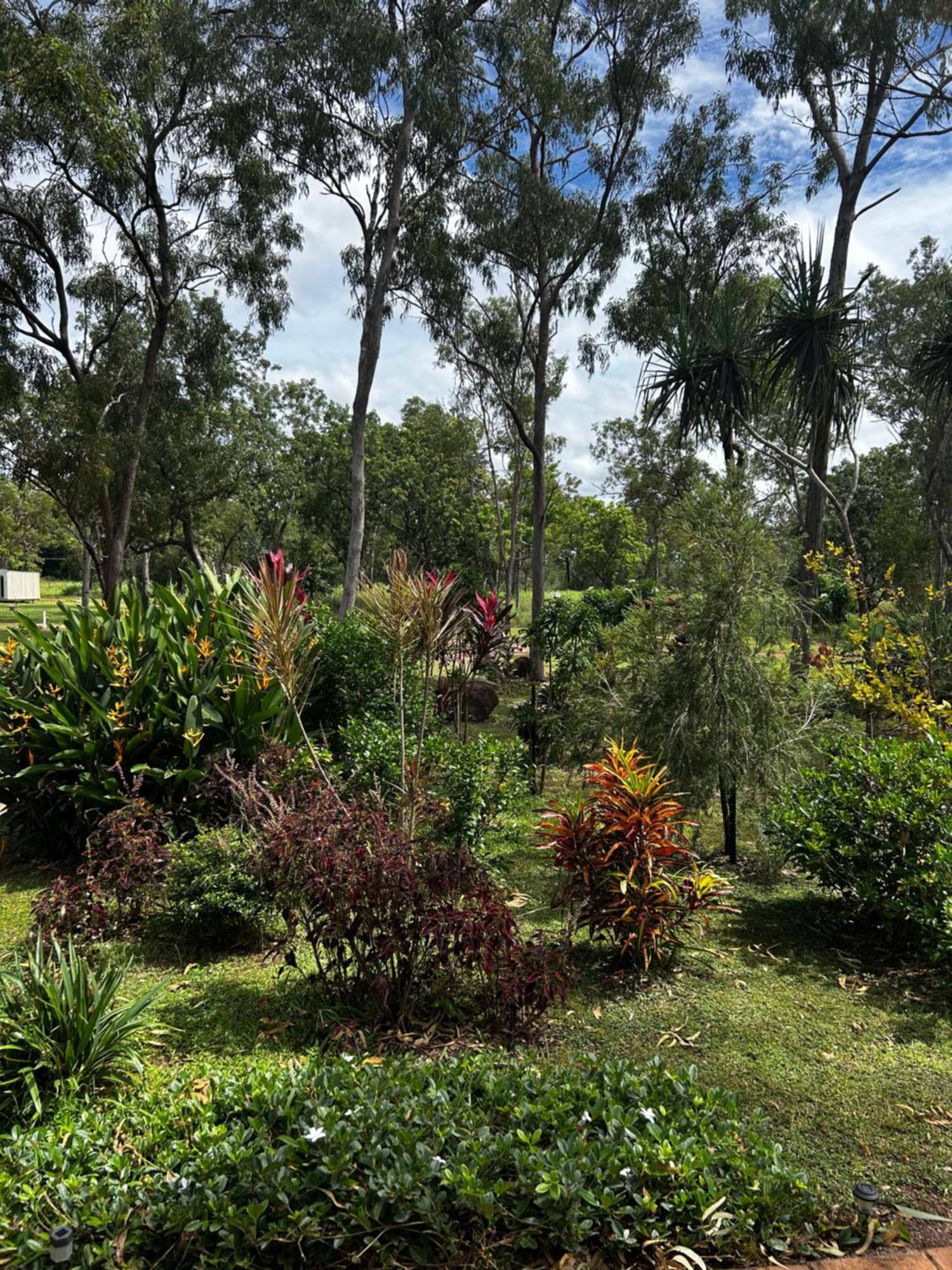 Litchfield Tropical Stay Batchelor Eksteriør billede