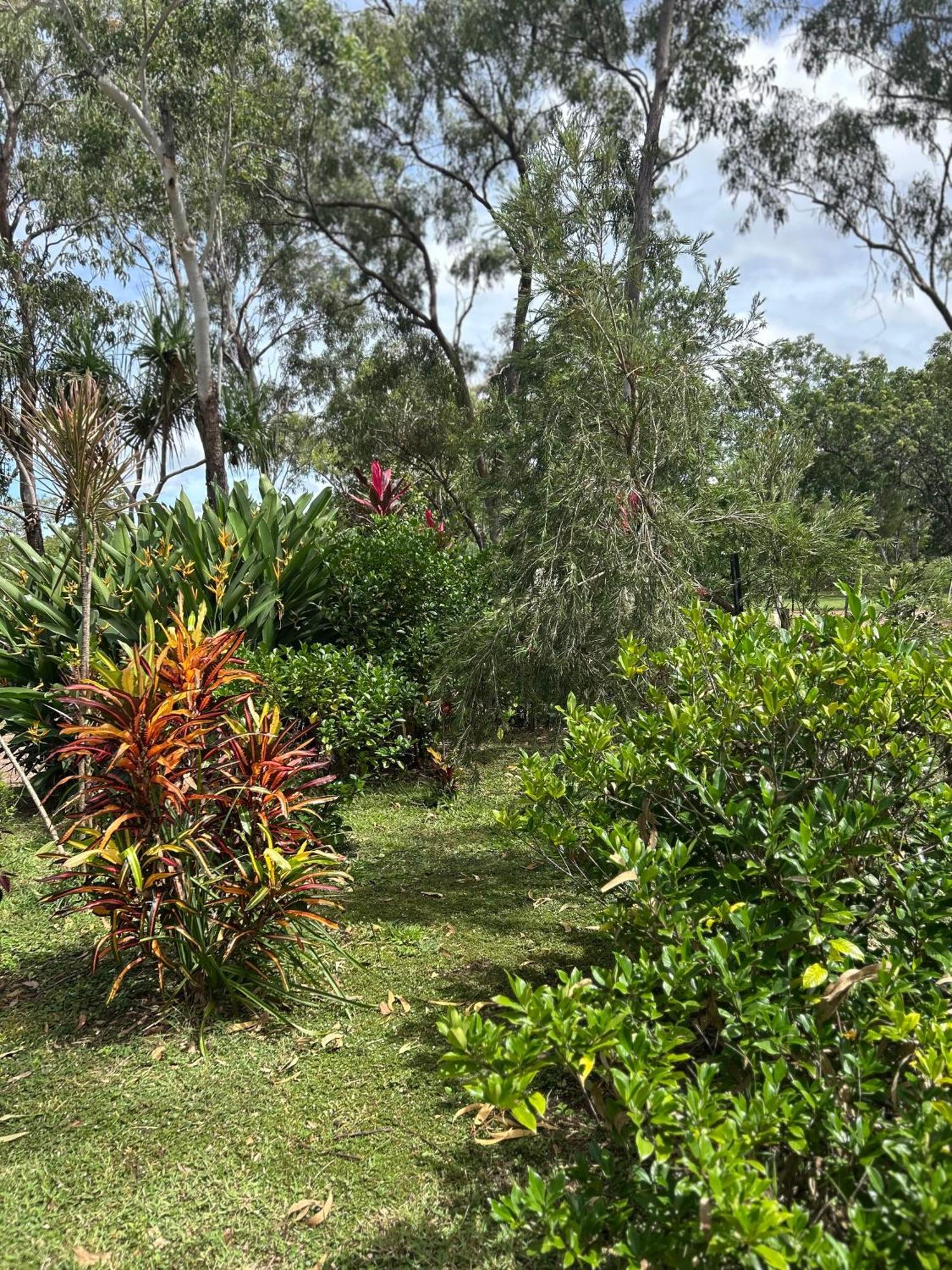 Litchfield Tropical Stay Batchelor Eksteriør billede